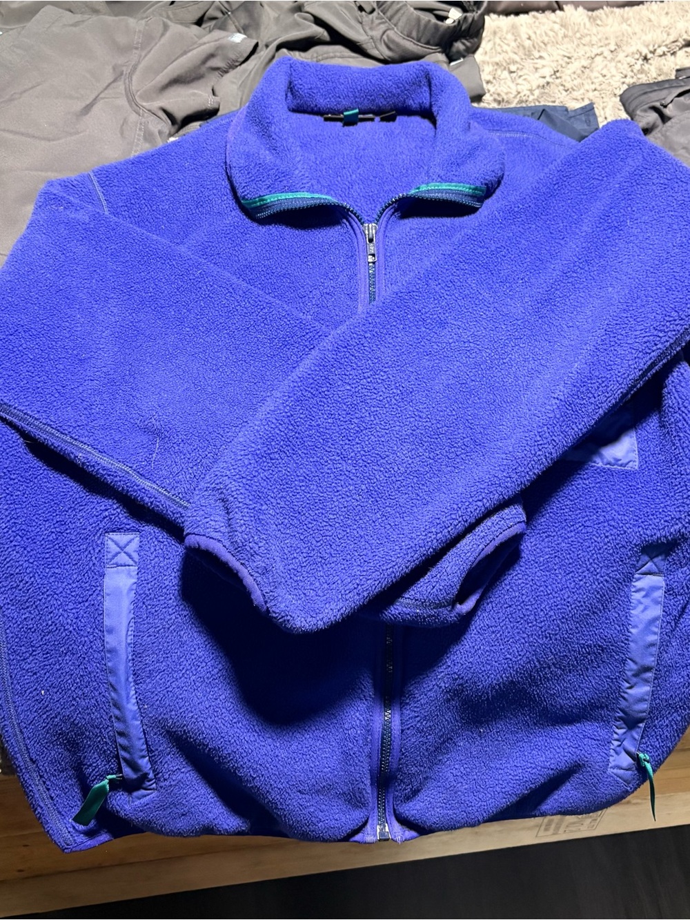 Electric Blue Patagonia Fleece Jacket with Teal Accents